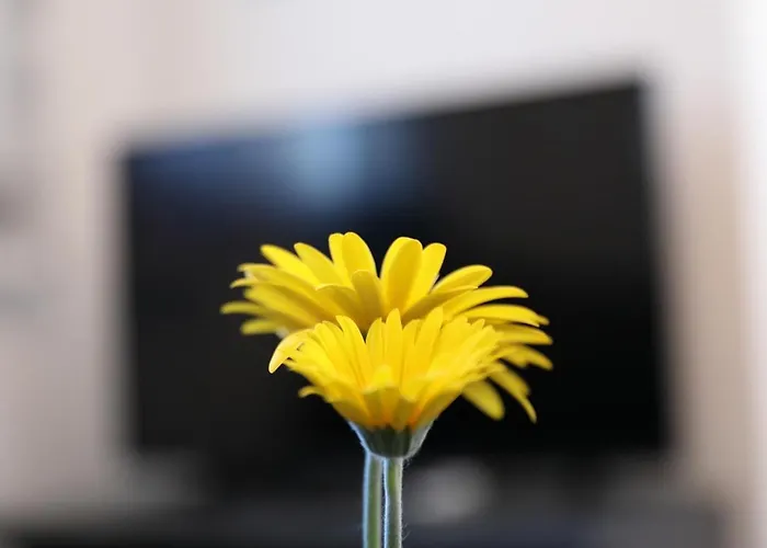 Dora Apartamento Preko