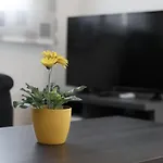 Appartement Dora